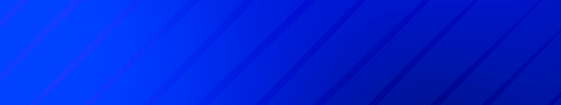 Фирменный узор 2024/2025