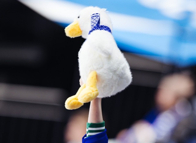 24.11.2025. «Динамо» — «Амур»