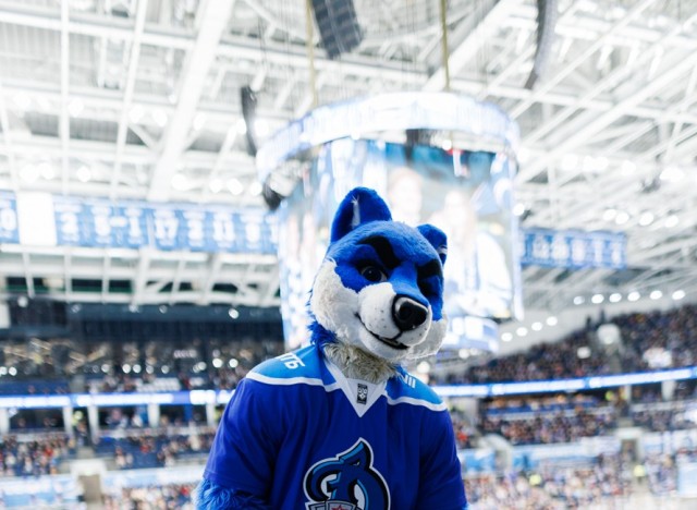 07.03.2026. Трибуны в лицах